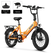 Variant image 42