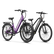 Variant image 36