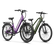 Variant image 39