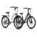 Variant image 31