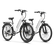 Variant image 37