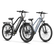 Variant image 31