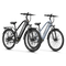 Variant image 31