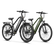 Variant image 42