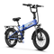 Variant image 37