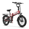 Variant image 49