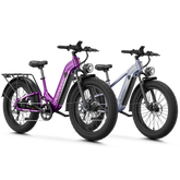 Variant image 64
