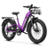 Variant image 49