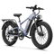 Variant image 38