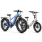 Variant image 31